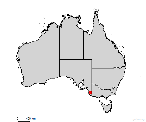 naracoortelucindale