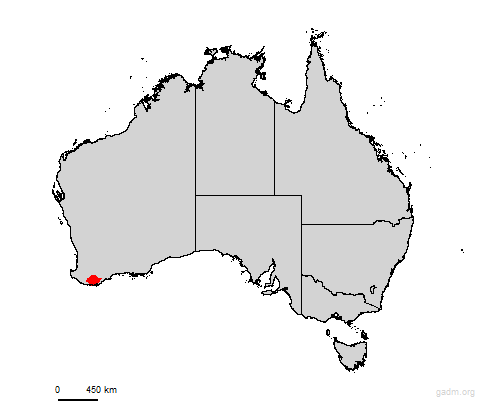 plantagenet