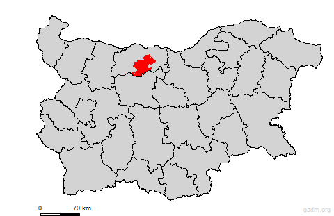 pleven