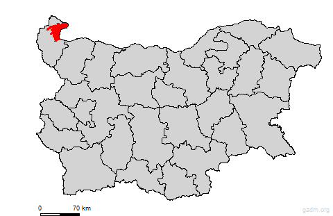 vidin
