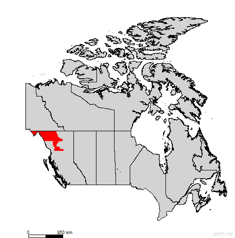 stikine