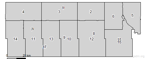 third level divisions