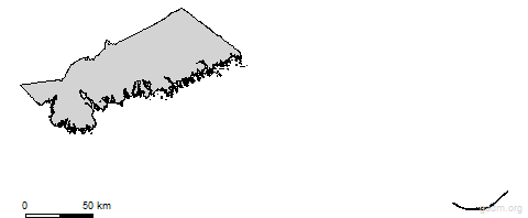third level