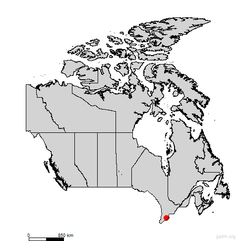 haldimand-norfolk