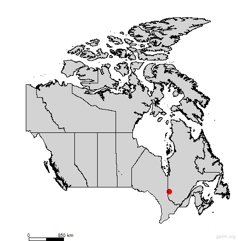 rouyn-noranda