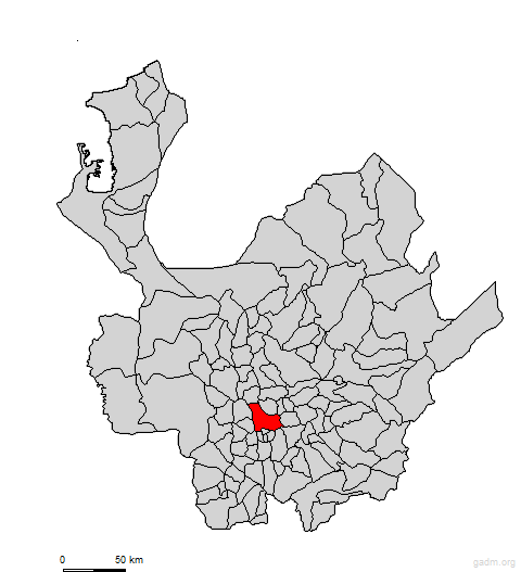 medellin