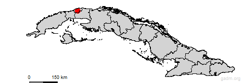 guanabacoa