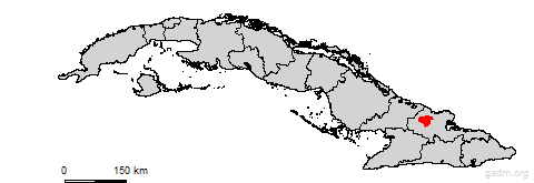holguin