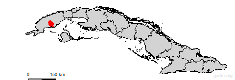pinardelrio