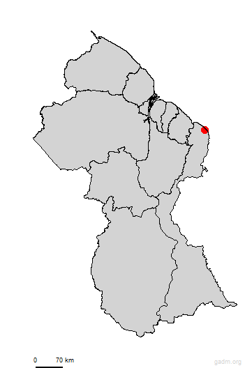 tarlogie-maida