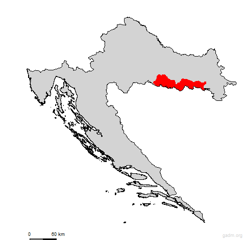 brodsko-posavska