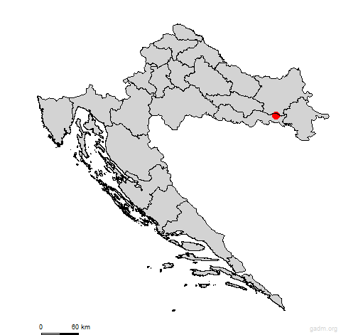 vrpolje