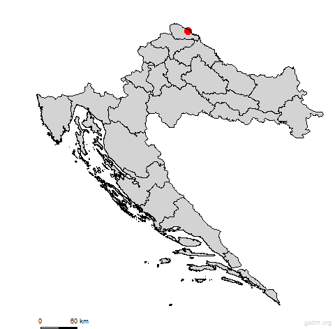 domasinec