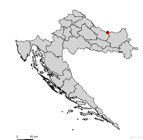 podravskamoslavina