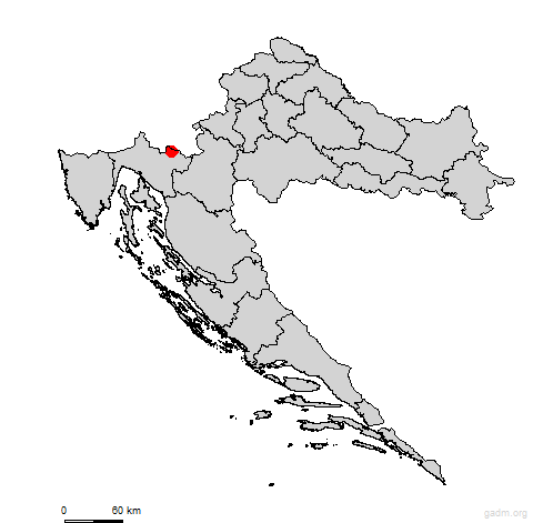 brodmoravice