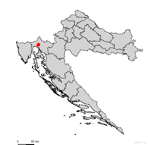 cavle