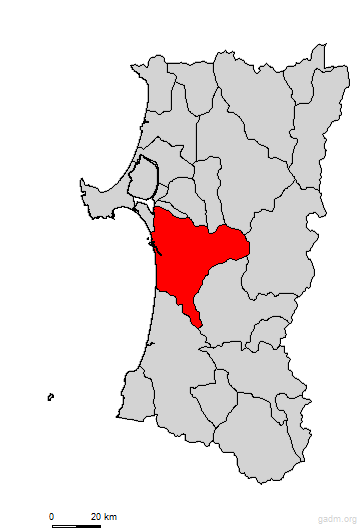 akita