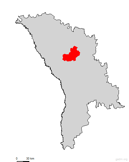 telenesti