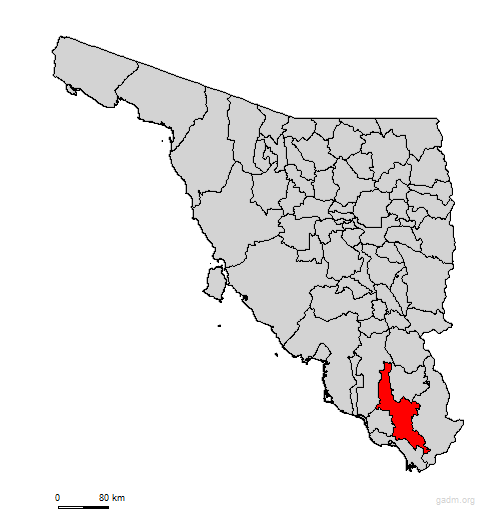 navojoa