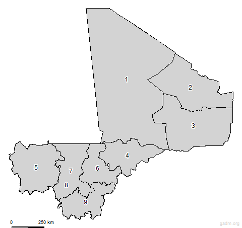 First level divisions