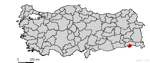 silopi