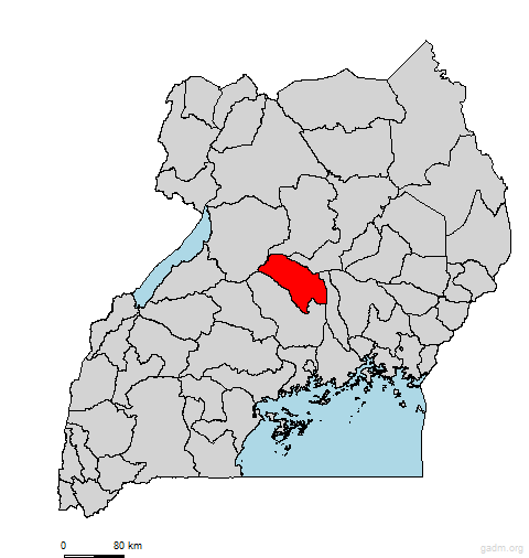 buruli