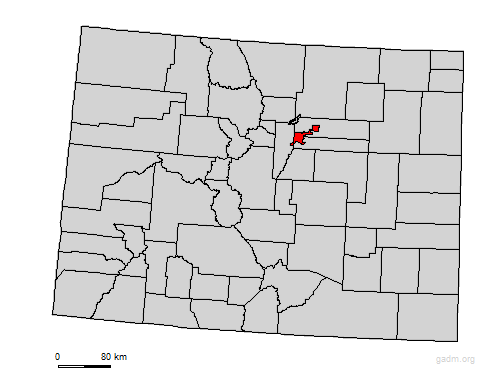 denver
