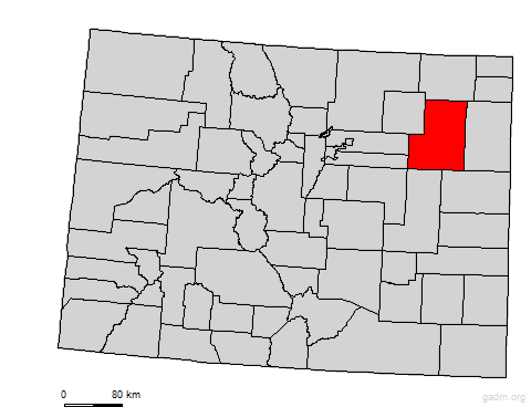 washington