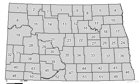 second level divisions